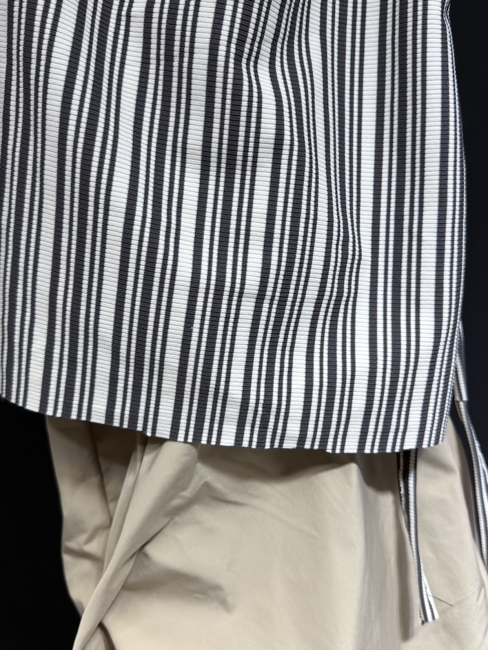 New Stripe Relaxed Pleated Flared Pants