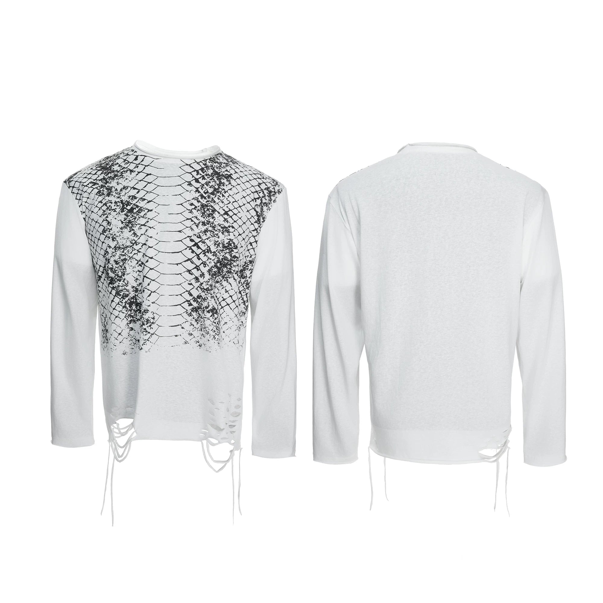 【26s Feb.】Gradient Snake Print Long Sleeve Tee