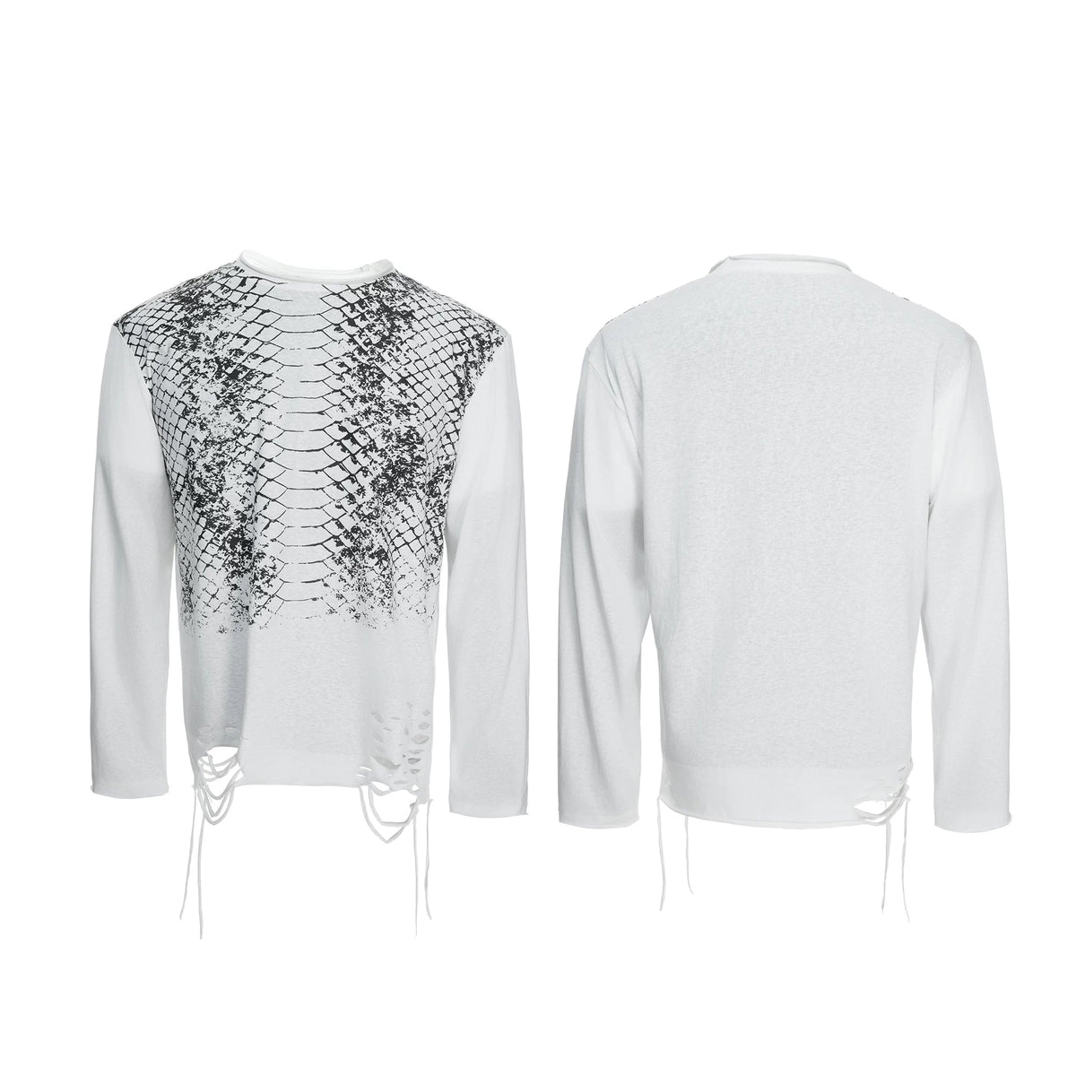 【26s Feb.】Gradient Snake Print Long Sleeve Tee