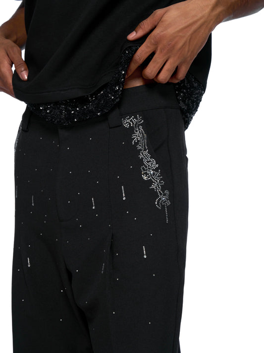 【25s Jul.】Delicately Embellished Rhinestone Tailored Pants