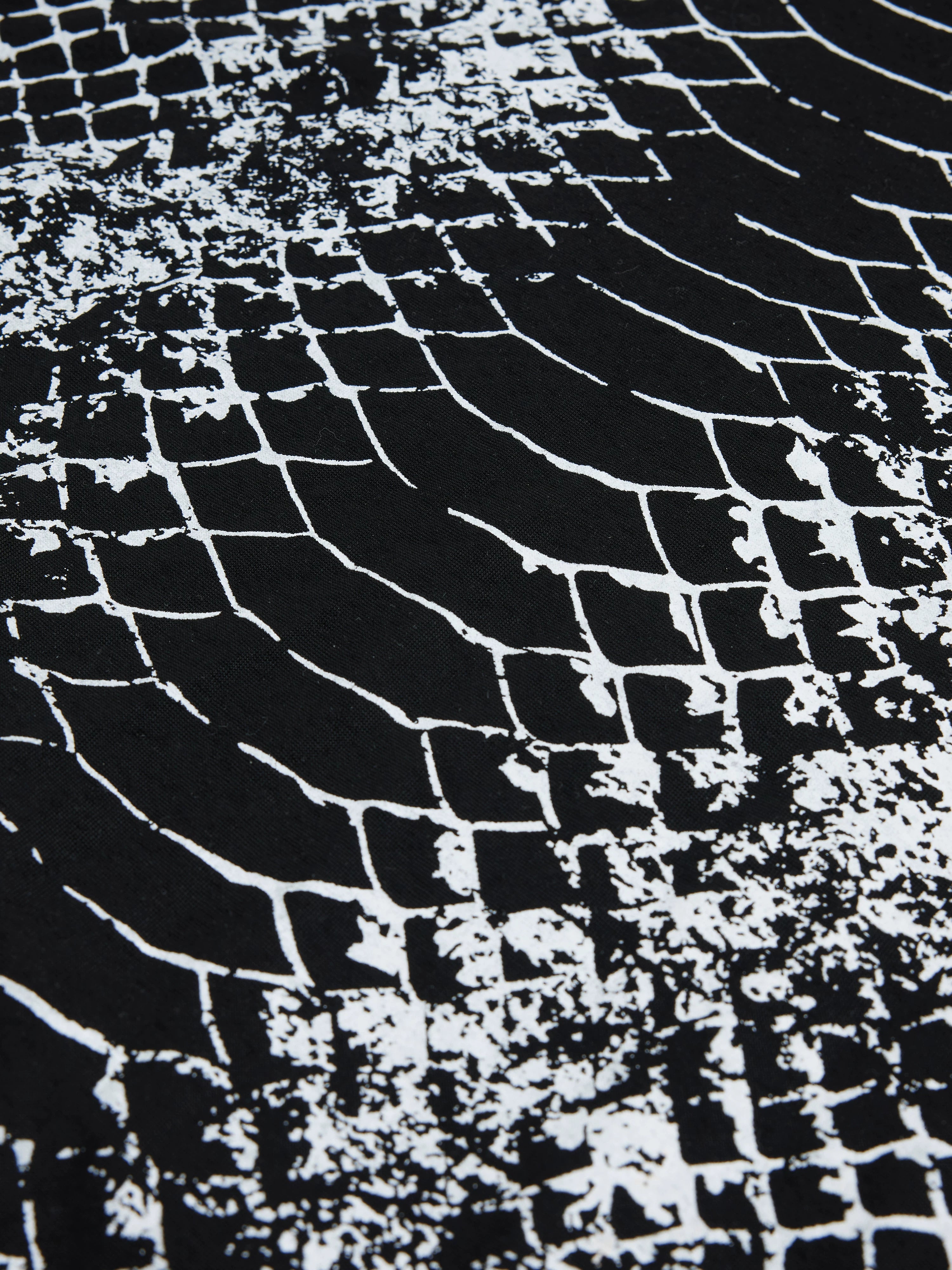 【26s Feb.】Gradient Snake Print Long Sleeve Tee