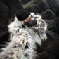 【24s Nov.】Leopard Plush Faux Fur Jacket / Pants ArtsKoreanMan